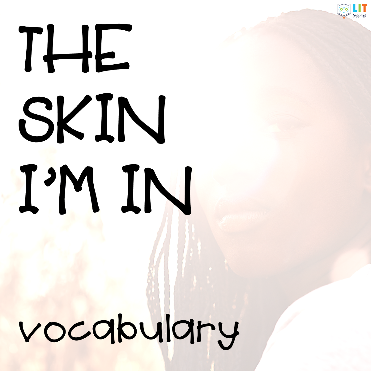 The Skin I'm In Vocabulary