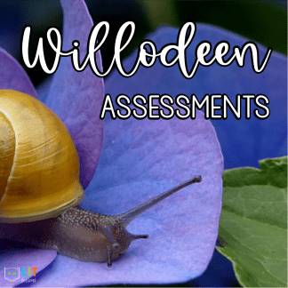 Willodeen Assessments