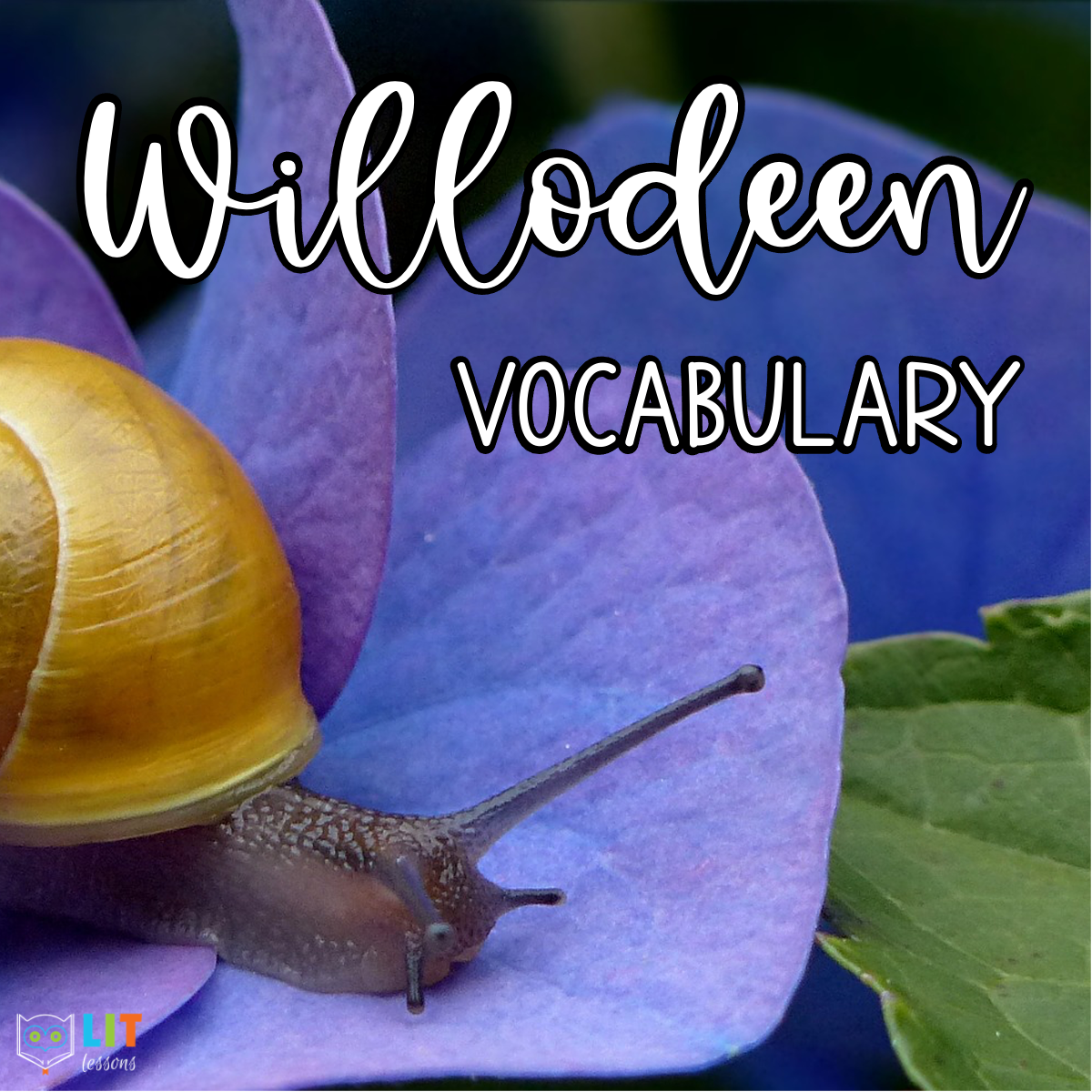 Willodeen Vocabulary
