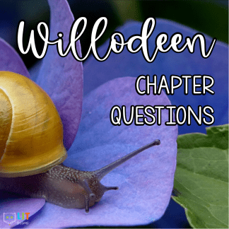 Willodeen Chapter Questions