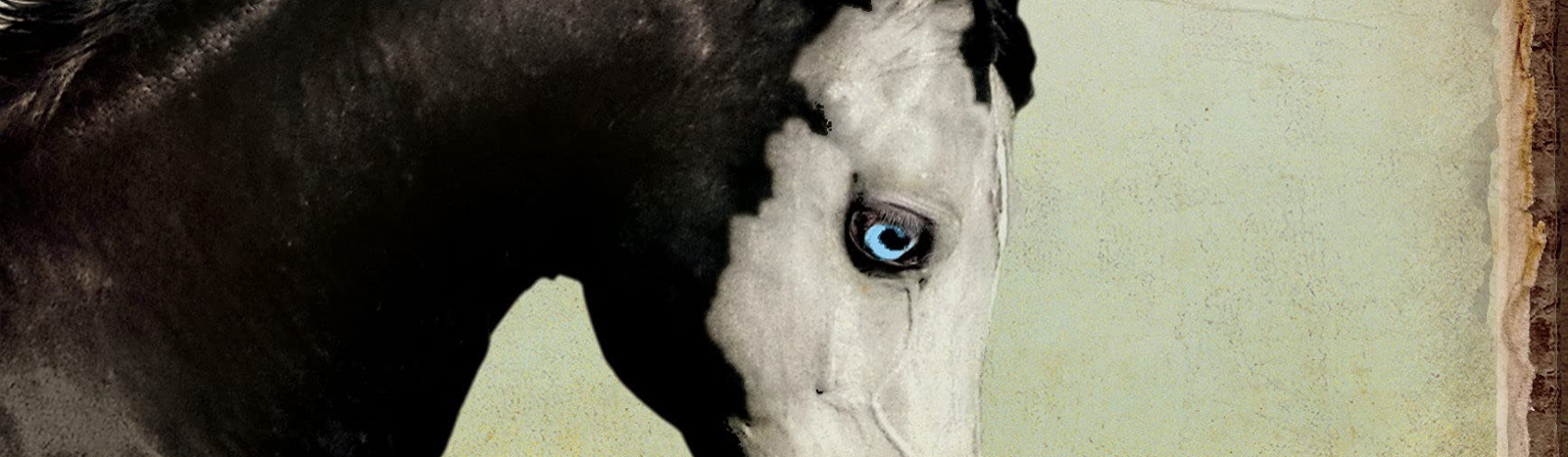 Pony by R.J. Palacio – Book Review