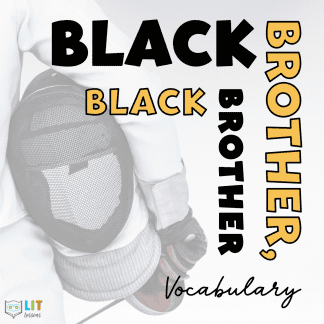 Black Brother, Black Brother Vocabulary